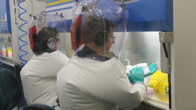 Coronavirus: Australian scientists begin tests of potential vaccines