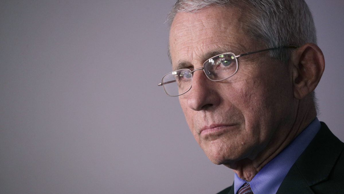 Fauci tells US Congress that states face serious consequences if they reopen too quickly