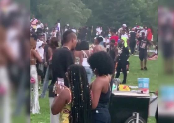 Thousands gather for wild rave at Prospect Park in Brooklyn
